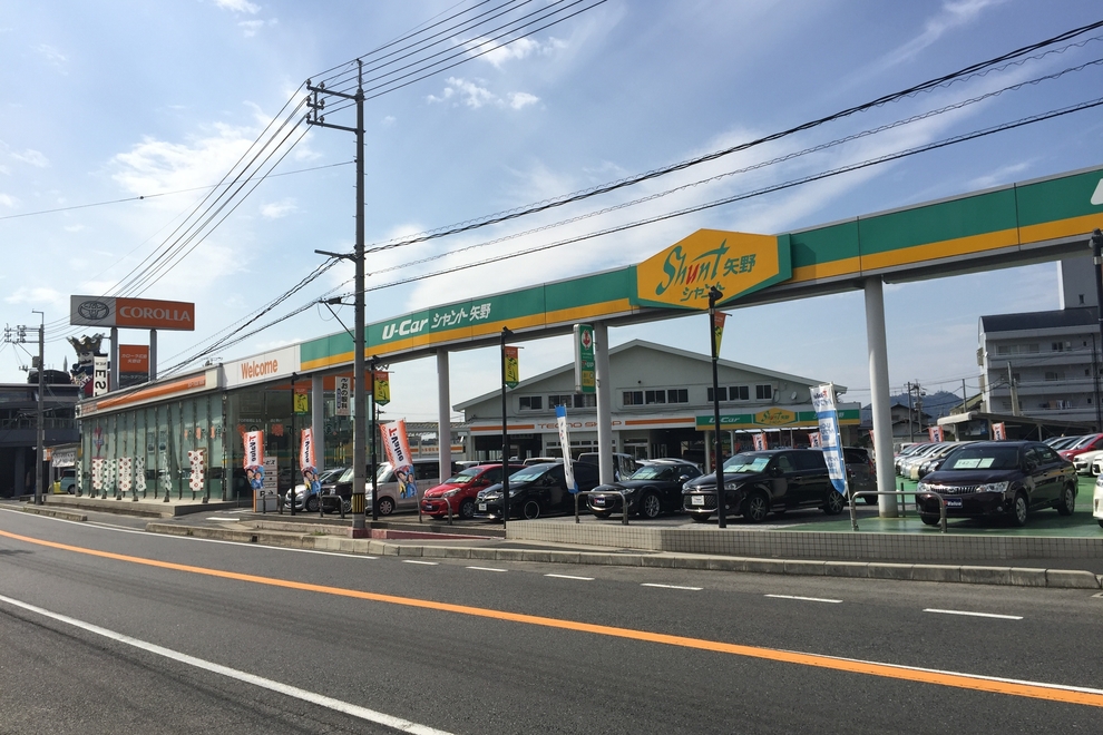 シャント矢野