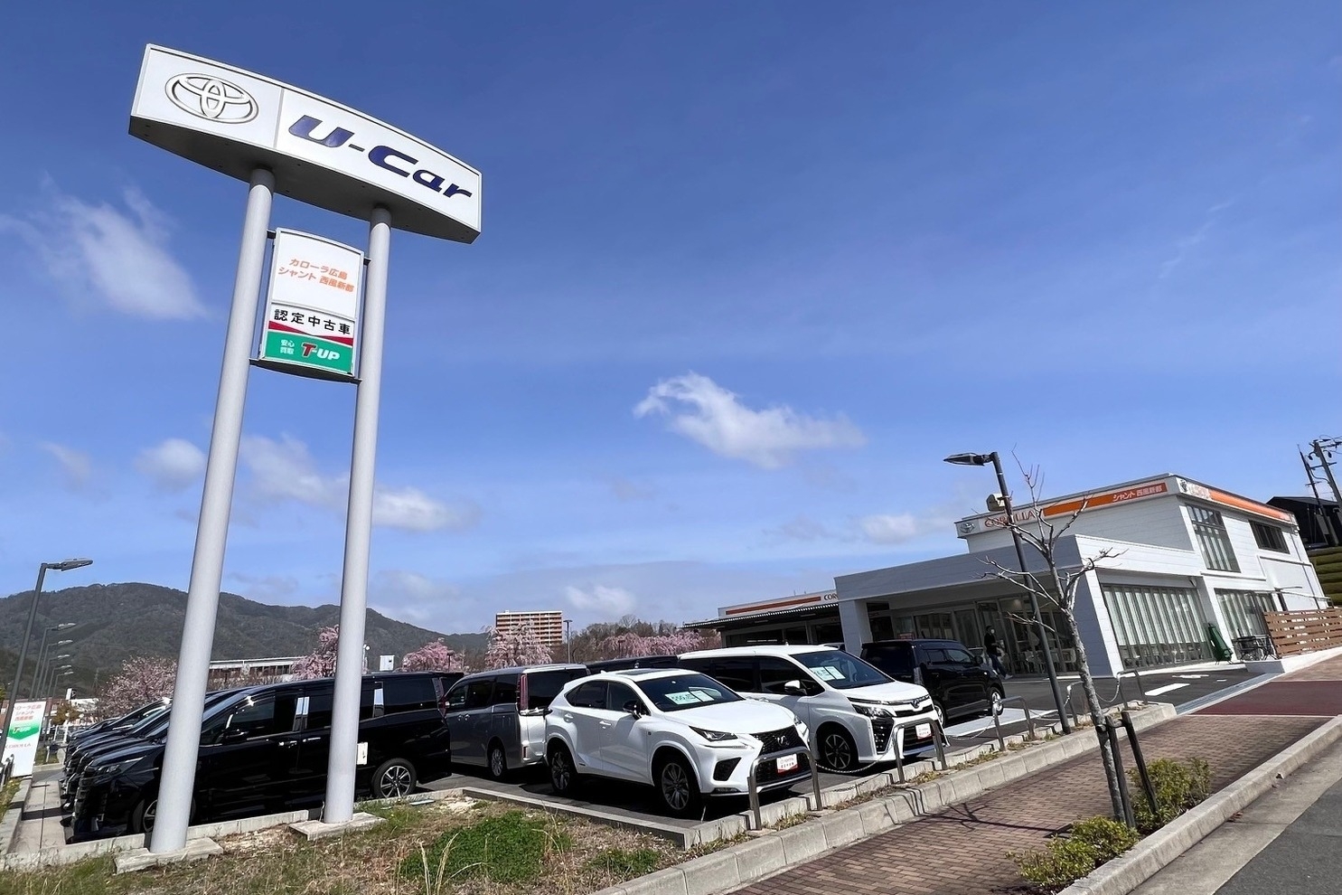 シャント西風新都