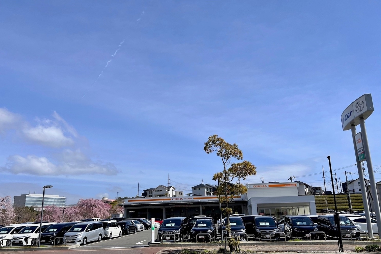 シャント西風新都