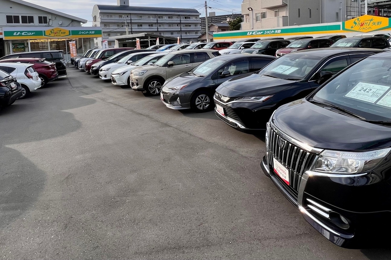 シャント矢野