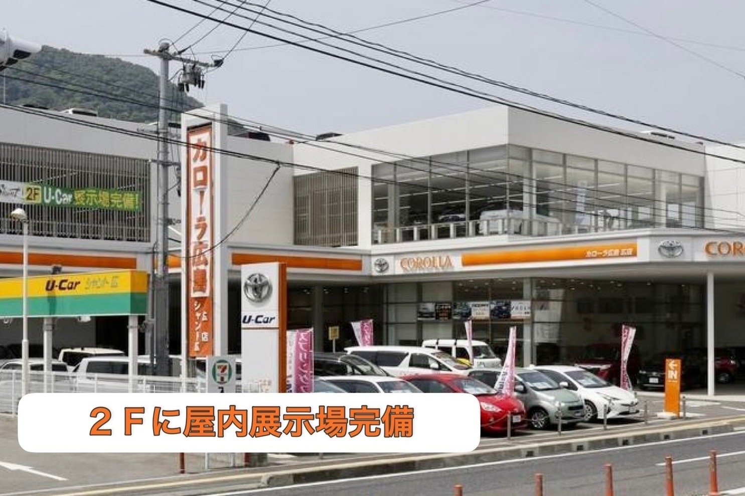 シャント広