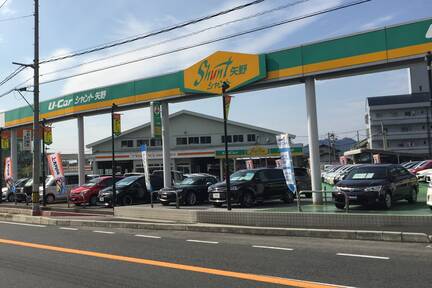 シャント矢野