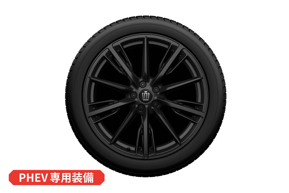crownsport_design_img10