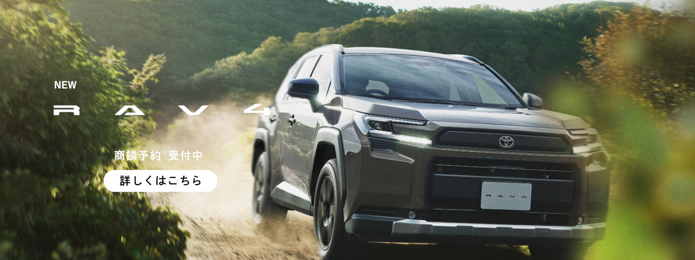 RAV4PC商談のみ_202512