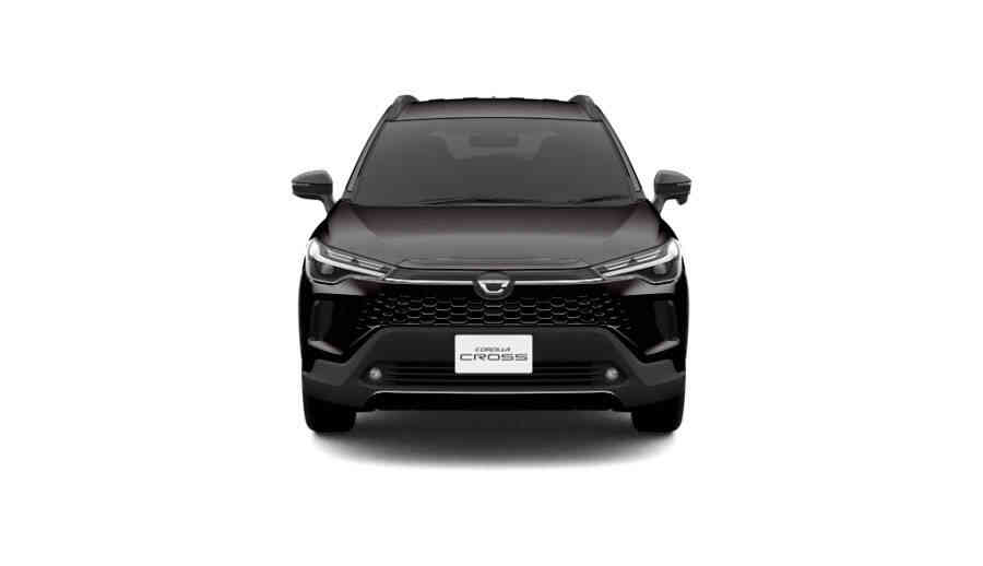 ブラックマイカ〈209〉フロント