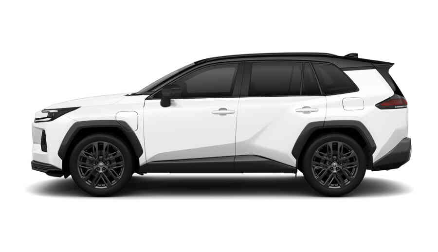 ブラック〈202〉×プラチナホワイトパールマイカ〈089〉［2VP］サイド