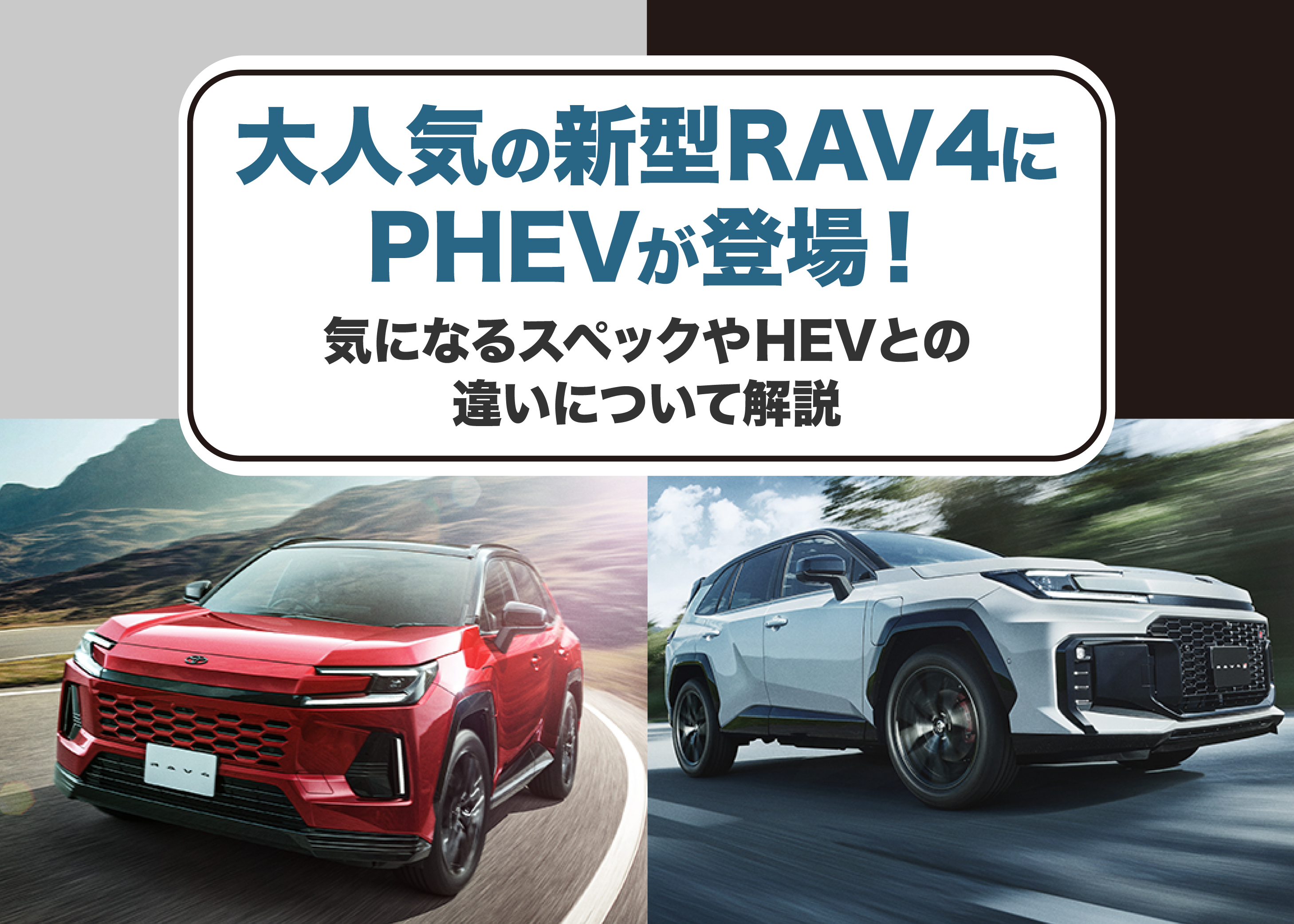 画像を説明する内容