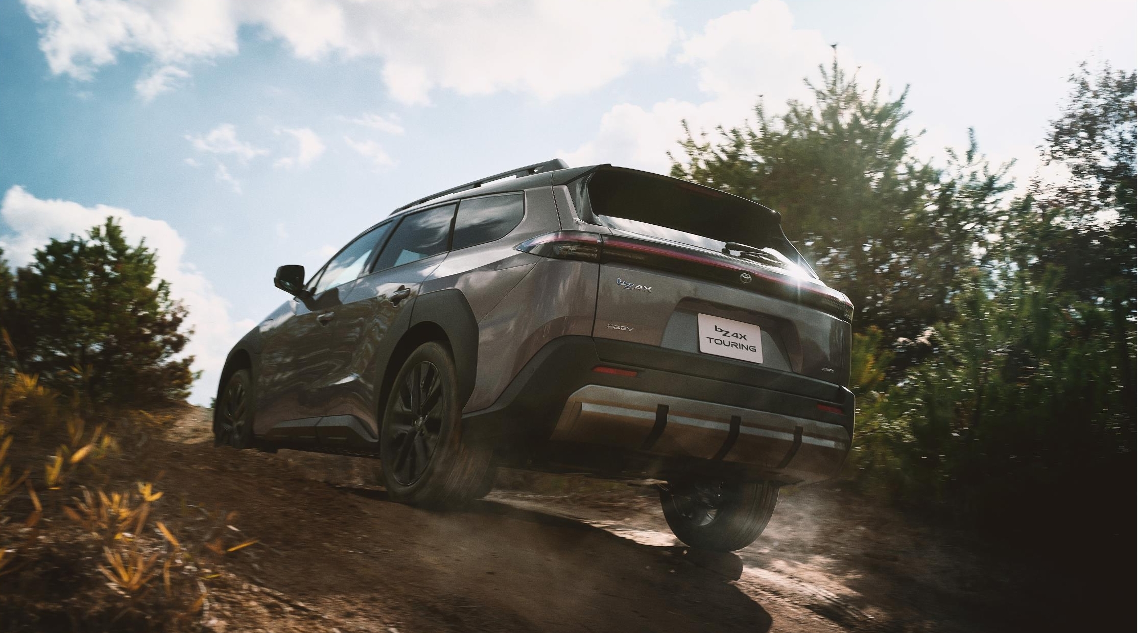 画像を説明する内容